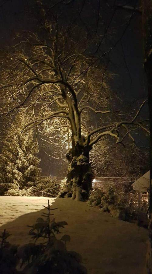 Apartmany Calma Liptovský Mikuláš Exteriér fotografie